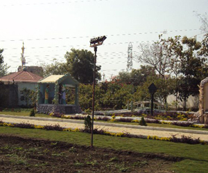 Landscape contractor Greater Noida
