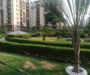 Landscape Designer Gurgaon