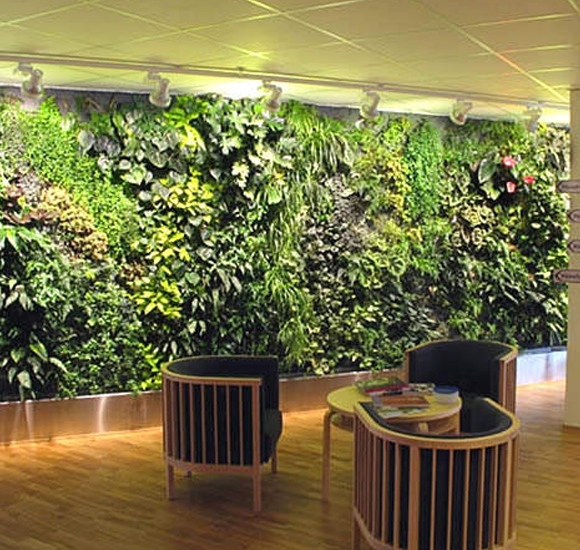 Landscaping Contractors Delhi Ncr