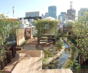 Best Landscaping Company delhi ncr,