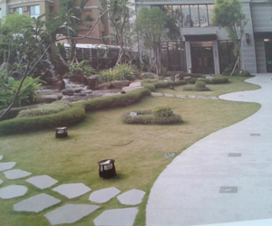 HortiCuture company delhi ncr