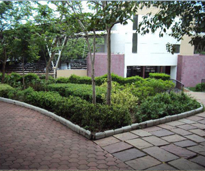 landscaping noida