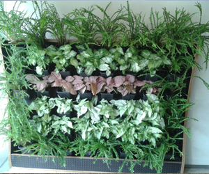 BEST landscape firms in delhi