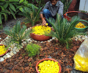 Landscape contractor in delhi Ncr