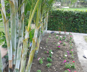 Garden development in delhi Ncr