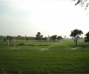 Landscape contractor faidabad