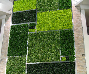 garden maintenance delhi Ncr