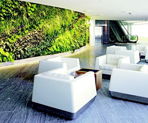 Landscape Designer delhi