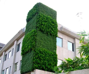 Landscape Firms in delhi Ncr