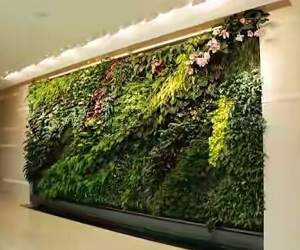 Terrace garden contractor delhi Ncr