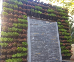 landscaping contractor delhi ncr