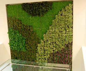 best landscape company delhi ncr