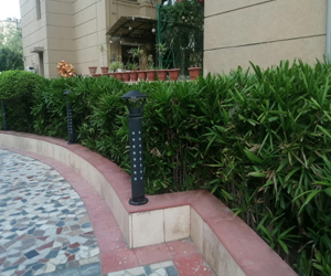 Landscape Designer Gurgaon