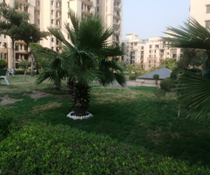 Landscape Designer Gurgaon