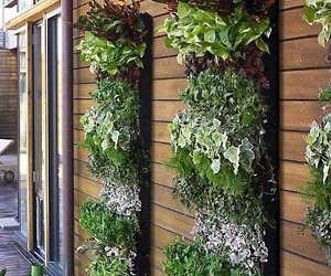  vertical garden landscape contractor delhi