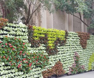 landscaping contractor delhi ncr