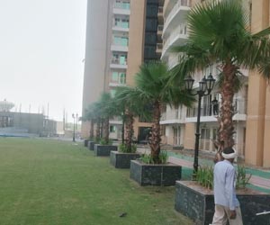 landscaping gurgaon