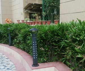 landscaping gurgaon