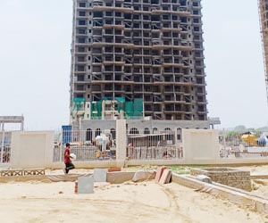 Terrace garden contractor delhi Ncr