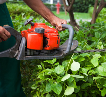 GARDEN MAINTENANCE service