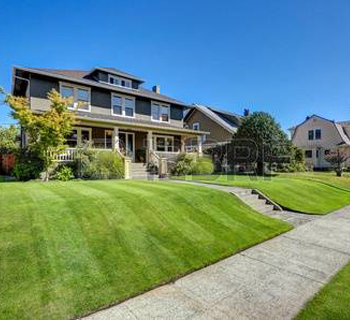 landscape contractors delhi ncr