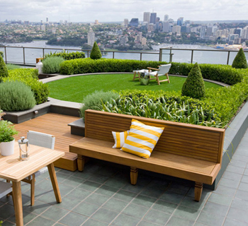 Roof And Terrace Garden