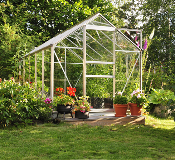 vertical garden landscape contractor delhi