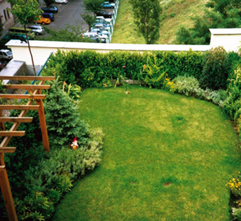 terrace garden Firms in delhi Ncr