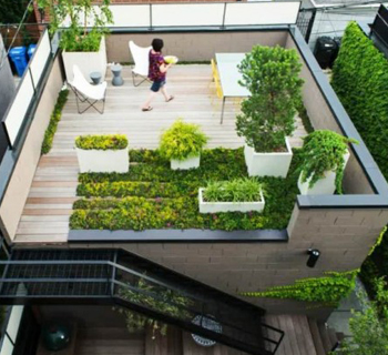 terrace landscaping