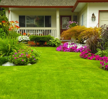 Drawing/Living Room Garden