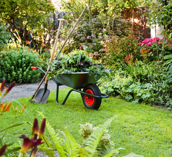 Best landscape company delhi ncr