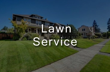 lawn development delhi ncr