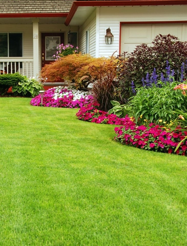 landscape garden company delhi ncr