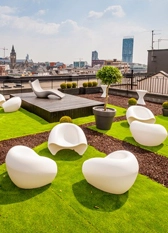 Lawn development in delhi